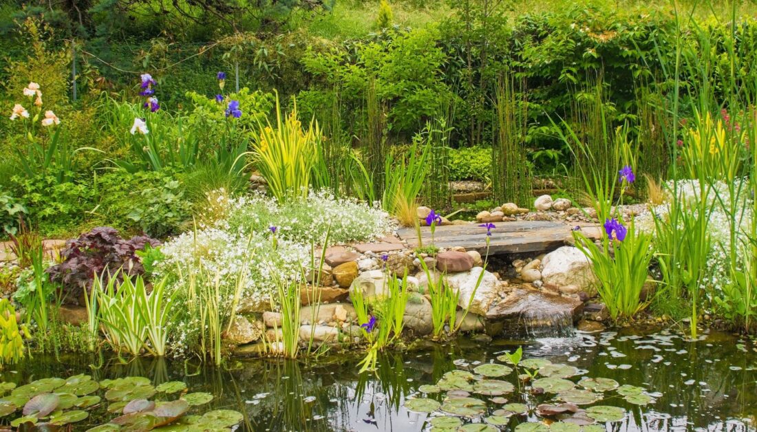 Wildromantischer Gartenteich mit Flussteinen und üppigen Wasserpflanzen. 