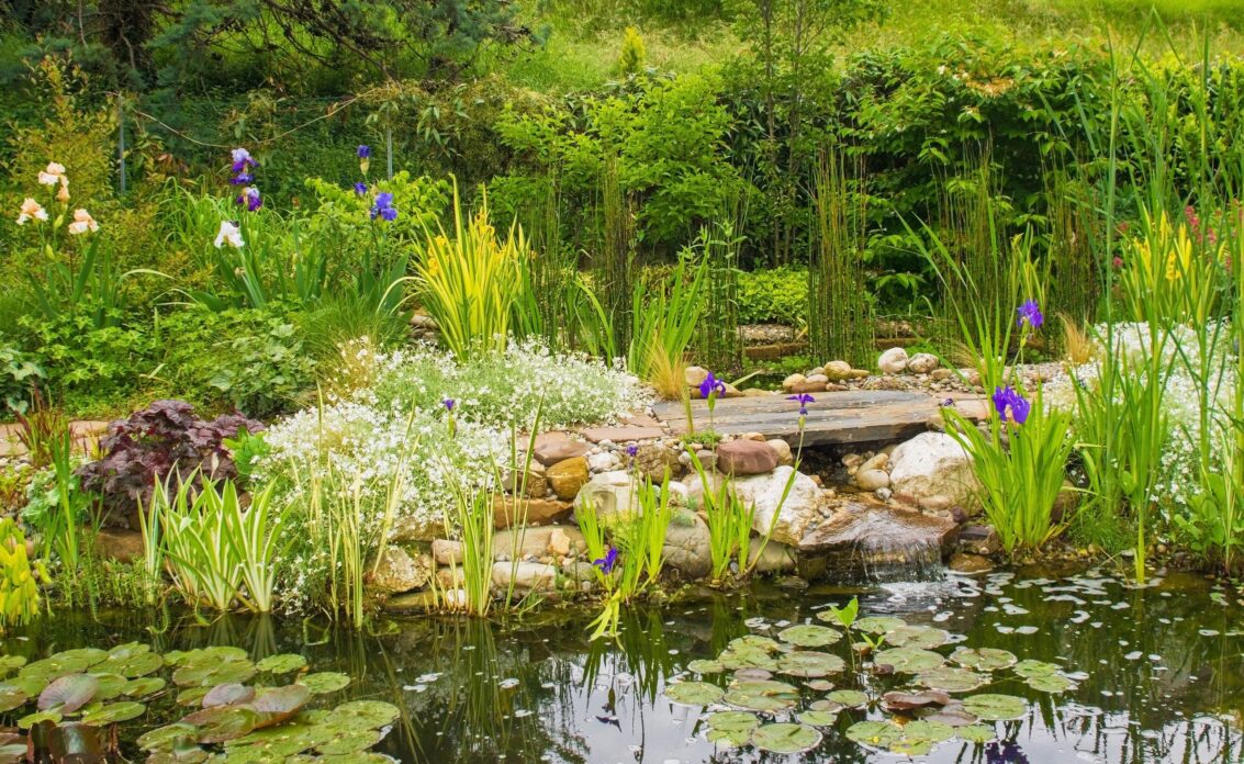 Wildromantischer Gartenteich mit Flussteinen und üppigen Wasserpflanzen