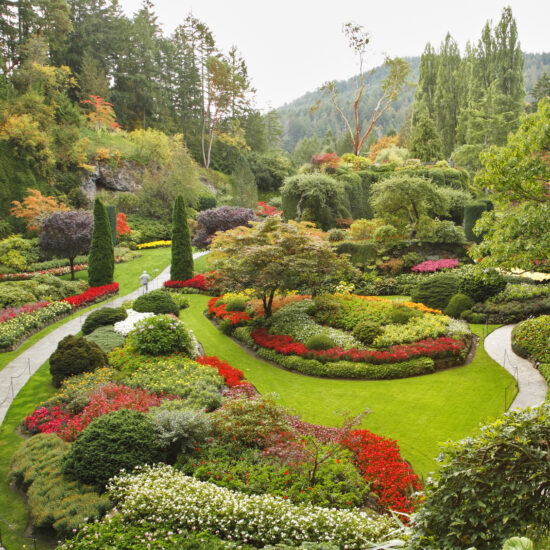 Beispiel für Moderne Gartenkunst - Gartenidee mit bunten Blumenbeeten  Zierbäume und Laubbäume als künstlerischer Park arrangiert