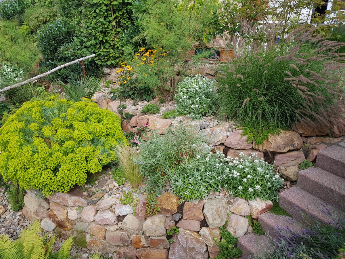 Gartenidee Pflegeleichter Vorgarten mit Hochbeet & Steinen