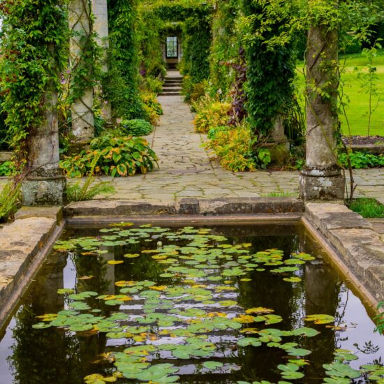 Garteninspiration - Bewachsener Säulengang im romanischen Stil mit Teich
