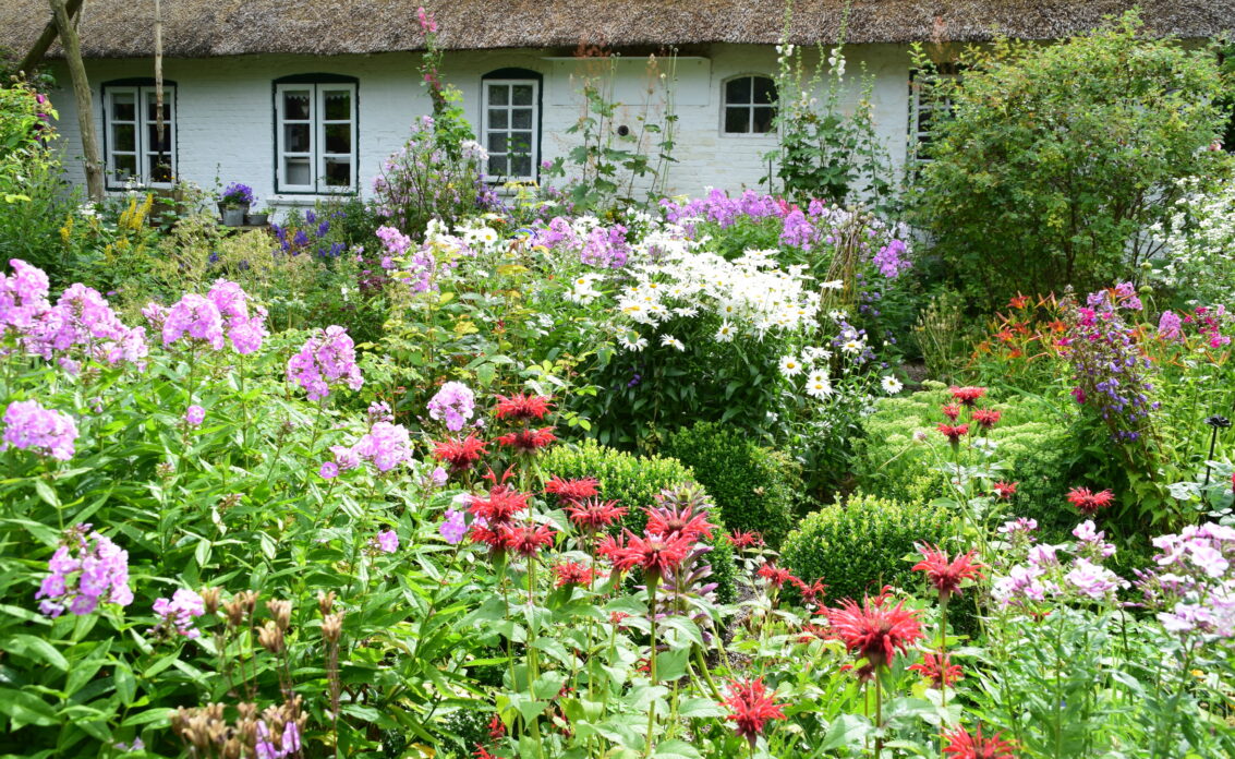 Gartenidee Beispiel eines Landhauses mit einem Vorgarten voller Büsche und Blumen – Pfl...