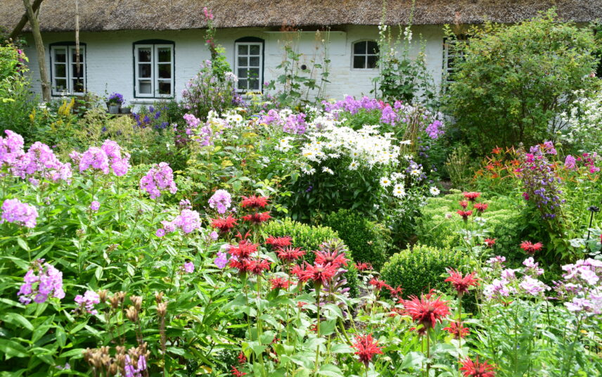 Gartenidee Beispiel eines Landhauses mit einem Vorgarten voller Büsche und Blumen – Pflegeleichter Vorgaten