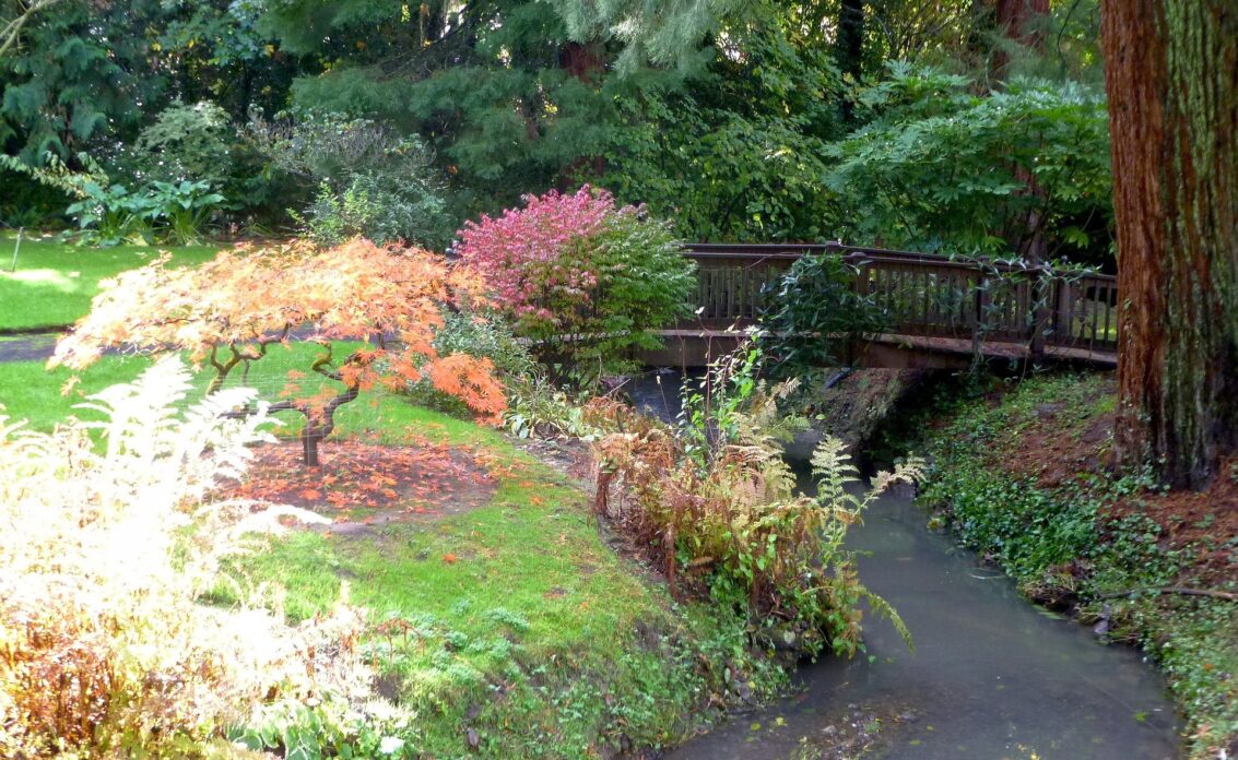 Schattiger Bachlauf in asiatisch angelegten Garten unter einer Holzbrücke