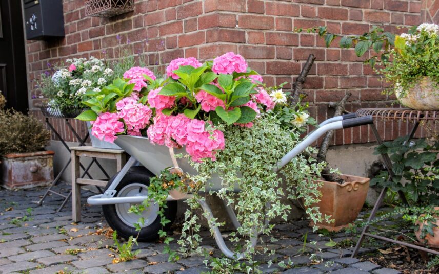 Idee für die Gartengestaltung – Beispiel mit kreativer Gartendekoration mit farbenfrohen Pflanzen vor dem Hauseingang