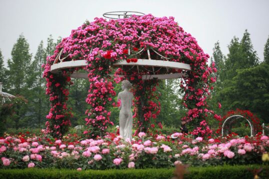 Romatisch mit Rosen bewachsene Pavillions mit einer Frauenskulptur als dekoratives ...