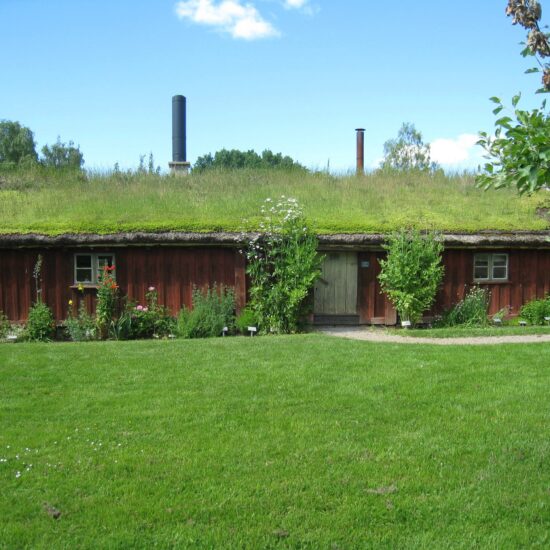 Gestaltungsidee für den Garten - Beispiel eines kleinen Landhauses mit begrünten Dach und sauberen Rasen
