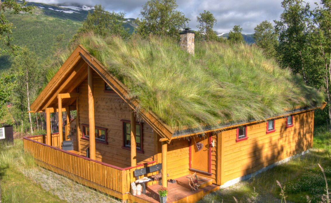 Skandinavisches Holzhaus im natürlichen Stil mit grünem Dach