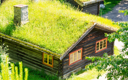 Skandinavisches Landhaus aus Holz mit grünem Dach