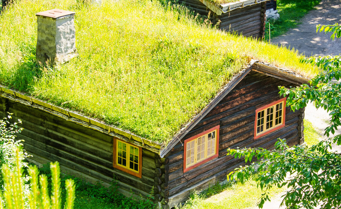 Gartenhaus im Wald mit bepflanzten Dach und natürlichen Garten