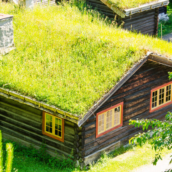 Dachbegrünung Idee - Ferienhaus oder Gartenhaus im Wald mit bepflanzten Dach und natürlichen Garten
