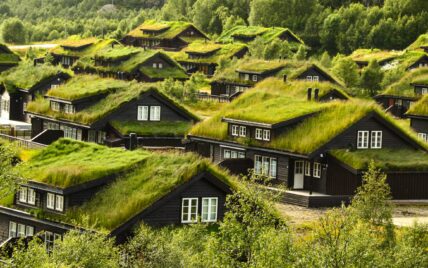 Dachbepflanzung Idee – Abgelegene Landhäuser im Grünen mit bepflanzten Dächern