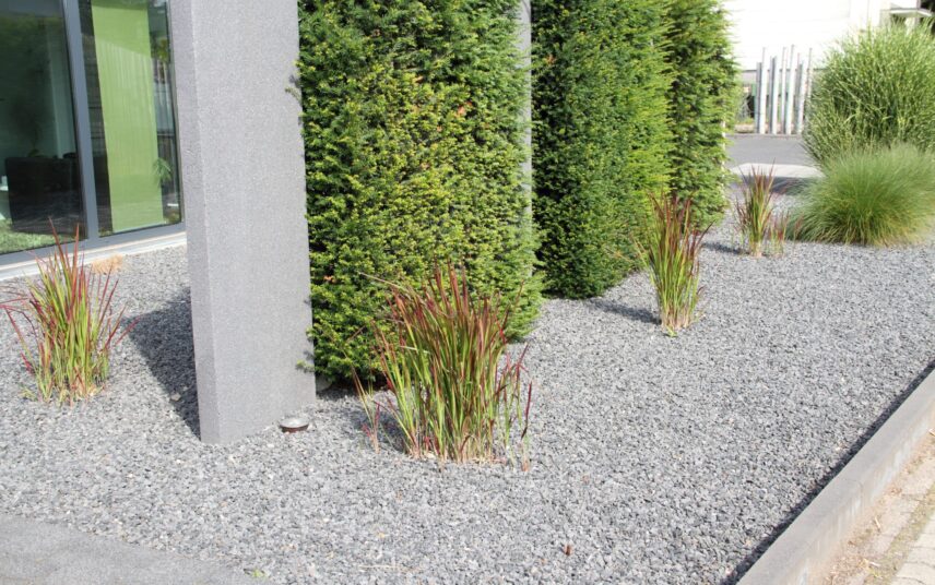Idee für einen modernen Kiesgarten mit partieller Hecke als Sichtschutz & Ziergräser