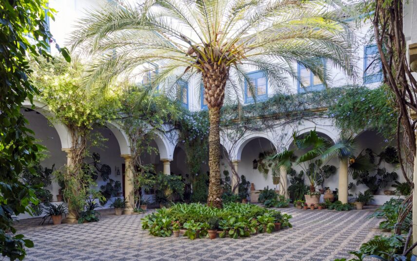 Mediterrane Gestaltungsidee für den Innenhof – Palme im Innenhof eines Hauses mit mediterranen Einfluss – Pflanzgefäße mit mediterranen Pflanzen & Kletterpflanzen