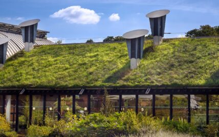 Gestaltungsbeispiel für ein modernes Haus mit grünem Dach voller Gras – pflegeleichte ...