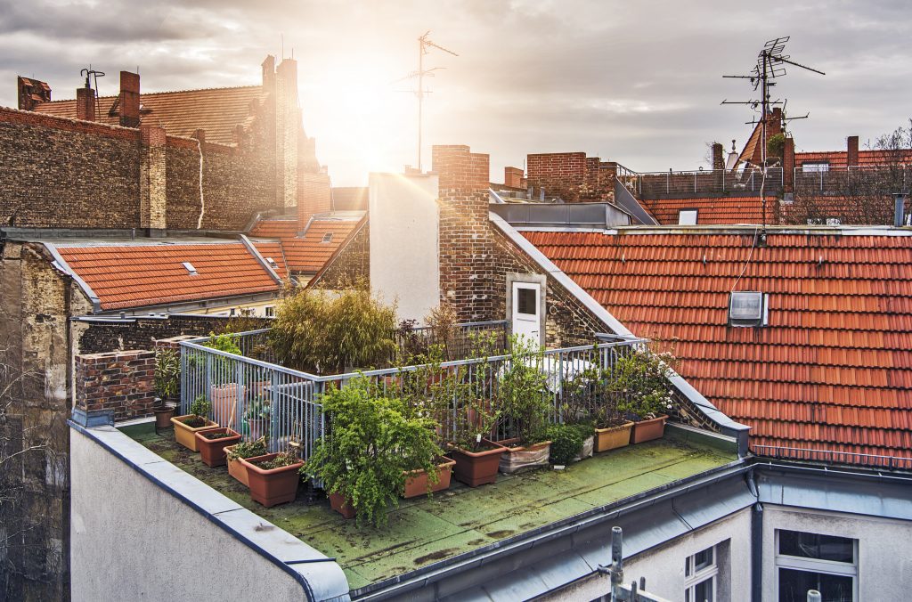 Kleine Dachterrasse Idee Garten mitten in der Stadt mit 