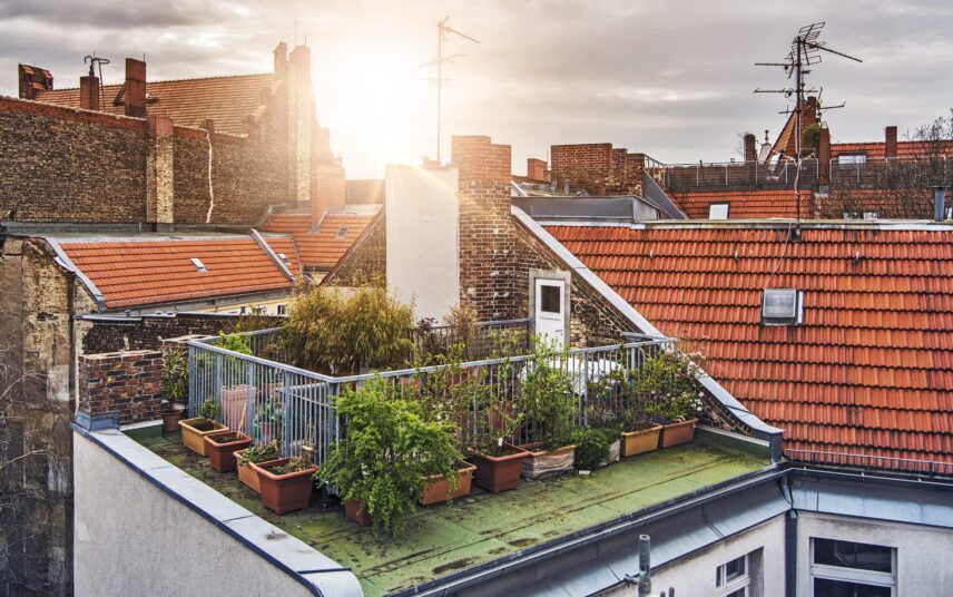 Kleine Dachterrasse als Garten mitten in der Stadt