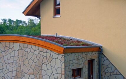 Vorbau mit pflegeleichten bepflanzten Dach