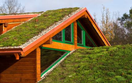 Dachbegrünung Idee – Beispiel mit Landhaus im skandinavischer Look mit grünem Dach und...