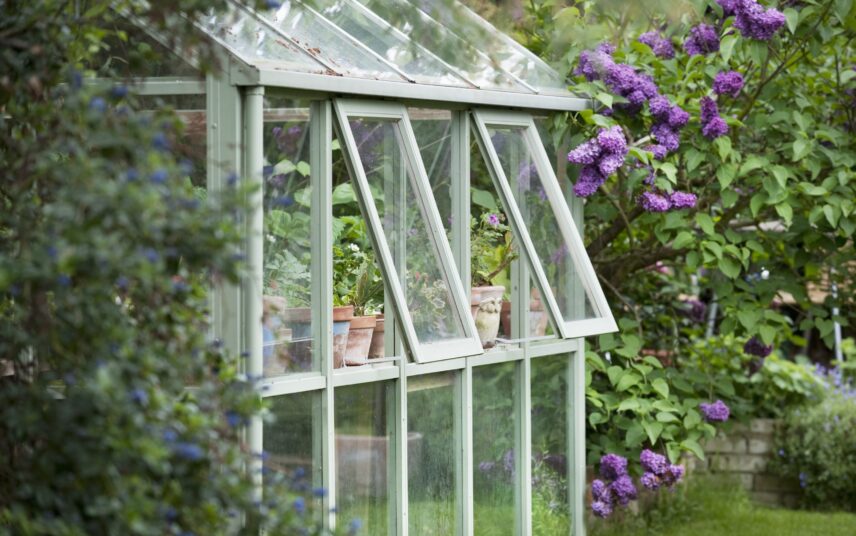 Gartenidee – Kleines Gewächshaus im Garten mit Flieder an der Seite – Beispiel für die Gartengestaltung