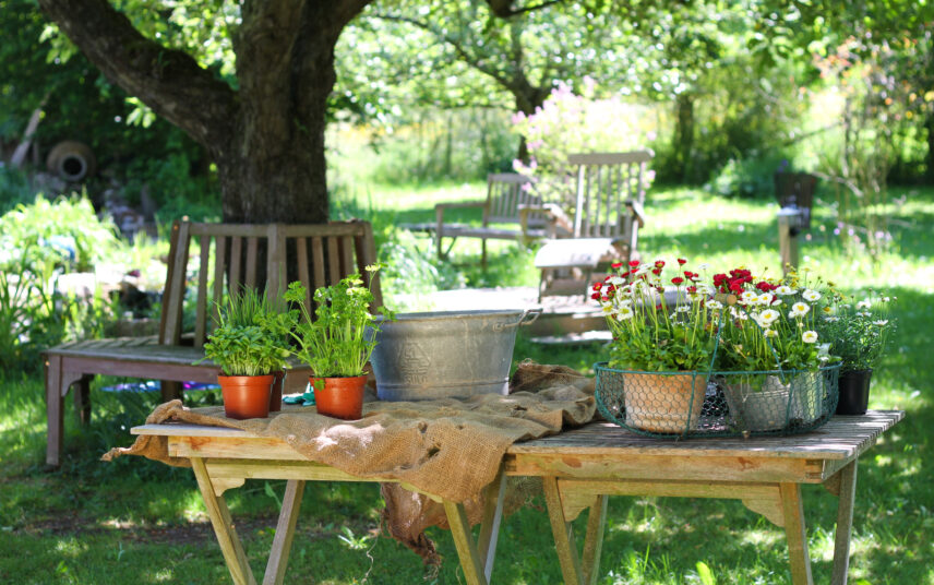 Idee für den Schrebergarten – Holztisch mit Pflanzen in Pflanzgefäßen & Baumbank aus Holz – schöne Gartenliegen aus Holz zum relaxen