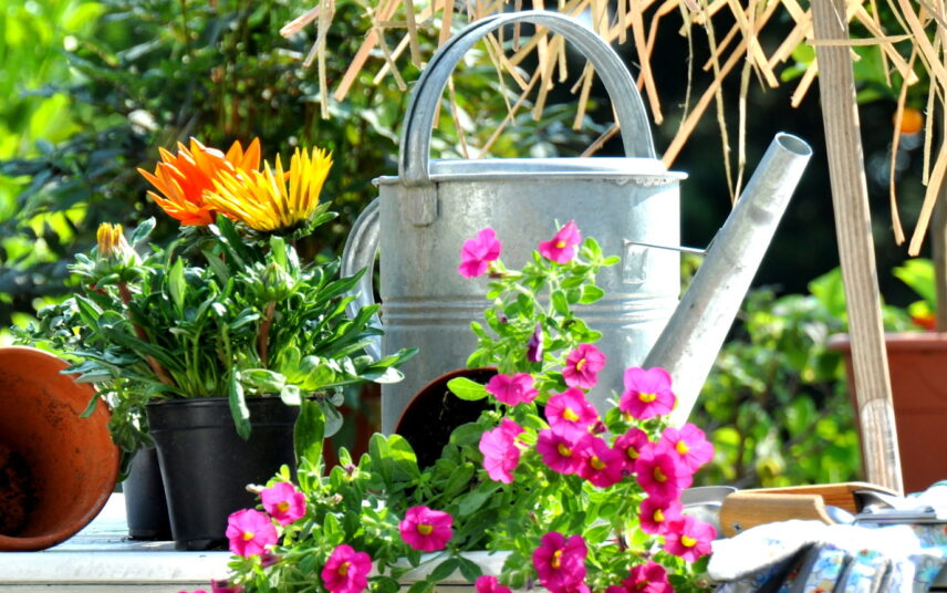 Gartendekoration Idee – Gießkanne mit verschiedenen Blumen dekorativ aufgestellt