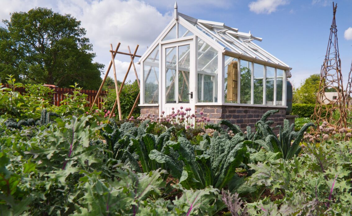 Gartengestaltung mit Gartenhaus – Garten mit Gemüsebeeten und einem Gewächshaus