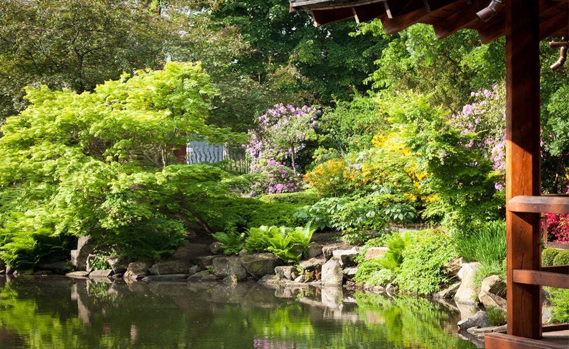 Prächtiger japanischer Garten mit vielen Pflanzen und großer Wasserfläche