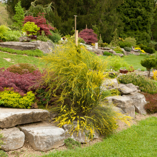 Idee für einen großen oder kleinen Garten am Hang - Klassisch gestaltete Steingärten mit robusten Pflanzen - Stauden & Bodendecker