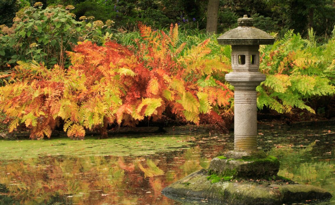 Traditioneller japanischer Garten mit viel Farn und einer hellen Steinskulptur