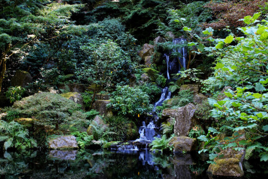 Malerischer Schattengarten mit eingebetteten Wasserfall  natürlichen Steinen  klein...