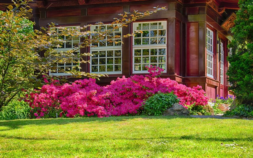 Vorgarten Idee mit asiatischen Flair – Blumenpracht Beispiel im asiatischen Vorgarten mit prächtigen Farben