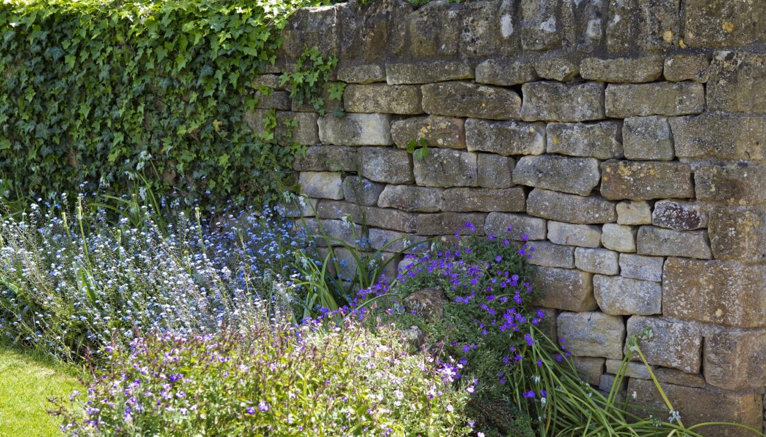 Gartenmauer Inspiration - Natürlich beflanzte Gartenmauer aus Stein - Beispiel mit Kletterpflanzen & Stauden