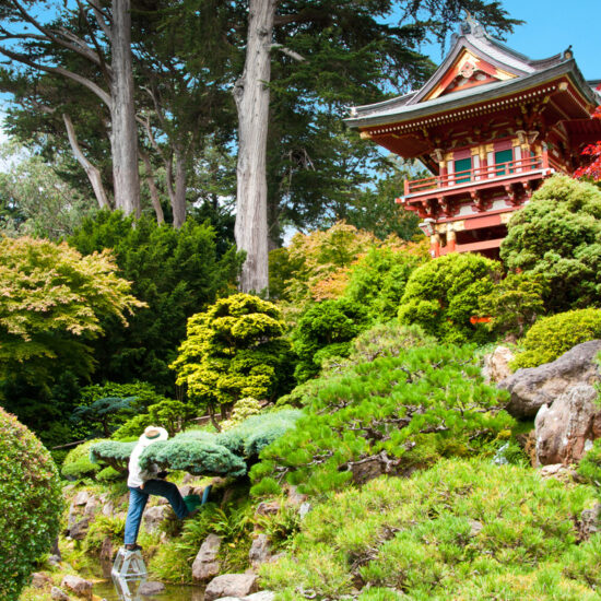 Asiatische Parkgestaltung mit vielen Sträuchern & Bäumen als Inspiration - großes asiatisches Haus in rot - Steine zwischen den Sträuchern als Dekoration