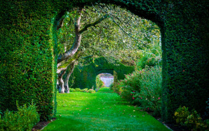 Gartengestaltung mit einem natürlichen Torbogen aus einer Hecke geschnitten – Gartenweg...