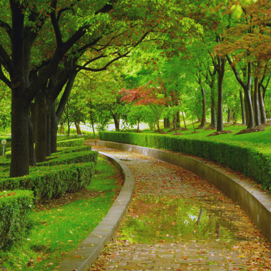 Idee für einen großen Garten oder Park - Beispiel mit gepflasterten Weg & Buchsbaumhecken