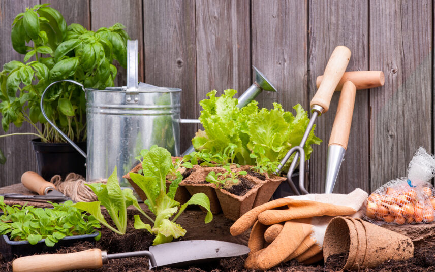 Gartenidee – Gartenwerkzeuge für die Gartenpflege – Schaufel  Pflanzgefäße & Gießkanne