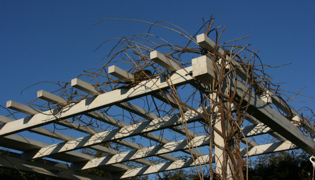 Gartenidee mit einer Pergola aus Holz mit bepflanztem Dach - Beispiel mit Kletterpflanzen
