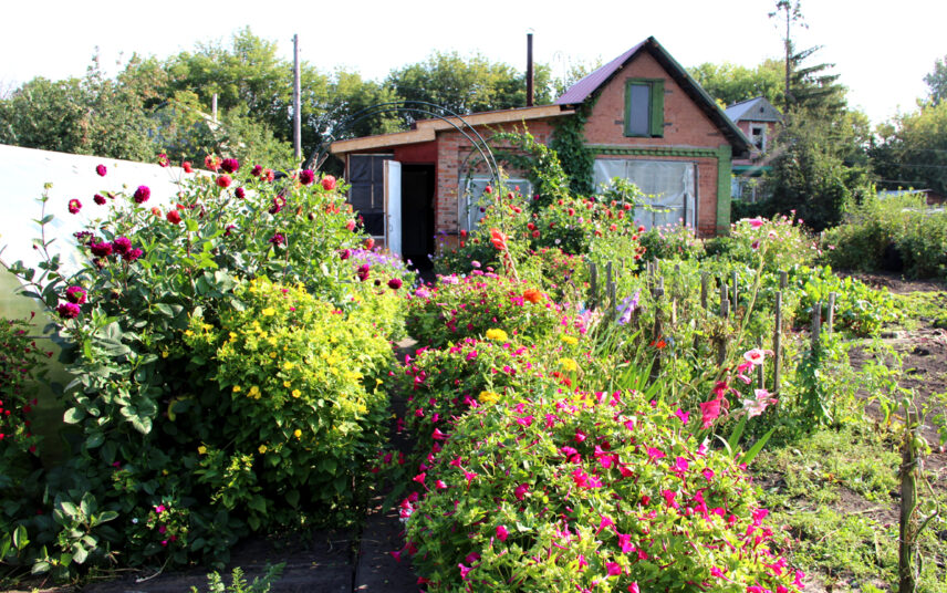 Gartenidee – Kleines Landhaus mit Wildgarten – Beispiel mit Rosenbüschen & Rosenbögen – Beete für den Gemüseanbau – Kletterpflanzen an der Hausfassade