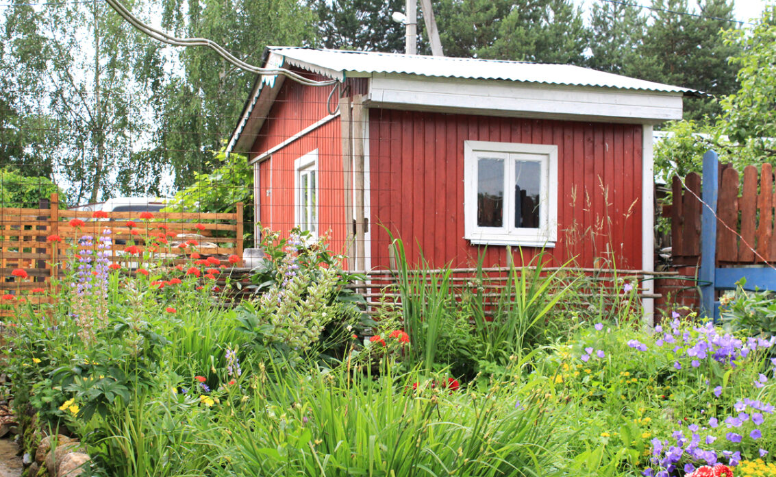 Wilder natürlicher Garten mit roten Gartenhaus als Gartenidee – Beispiel mit Stauden & ...