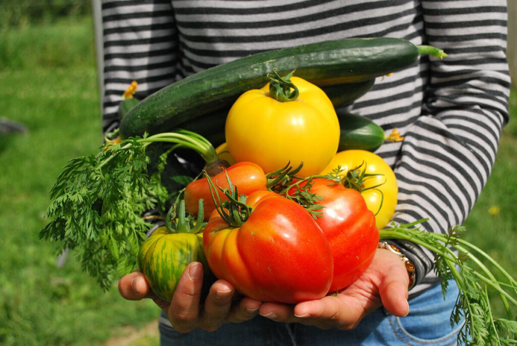 Gemüse anbauen und gärtnern nach dem Mondkalender