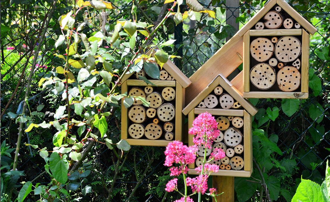 Einfache Insektenhotel Ideen zum selber Bauen für den Garten vor einem Blumenbeet – Bei...