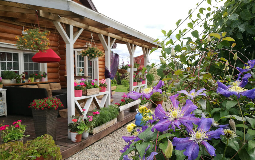 Überdachte Terrasse eines Landhauses als Gestaltungsidee – Beispiel mit Polyrattansofa & Tisch – viele Blumenampeln & Pflanzgefäße