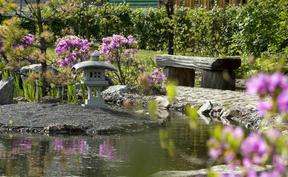Idee für einen asiatischen Feng Shui Garten mit rosa Zwergrhododendren – Japanische Ste...