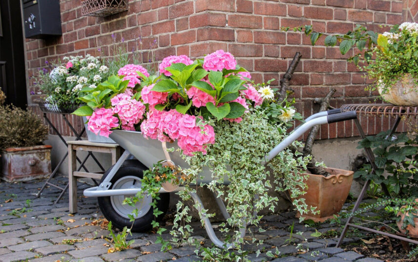 Deko Idee für den Hauseingang – Beispiel mit einer bepflanzten Schubkarre mit Efeu & rosa Hortensien – Beistelltische mit Pflanzen in Blumenkübeln – Briefkasten an der Hauswand