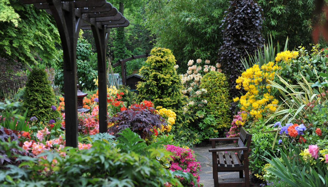 Gartenidee - Farbenfroher Garten im asiatischen Stil mit Hortensien  Rhododendren  Rosen & Co - Gartenbank zum Verweilen & stilvoller Rosenbogen aus Holz