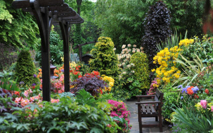 Gartenidee – Farbenfroher Garten im asiatischen Stil mit Hortensien  Rhododendren  Rosen...