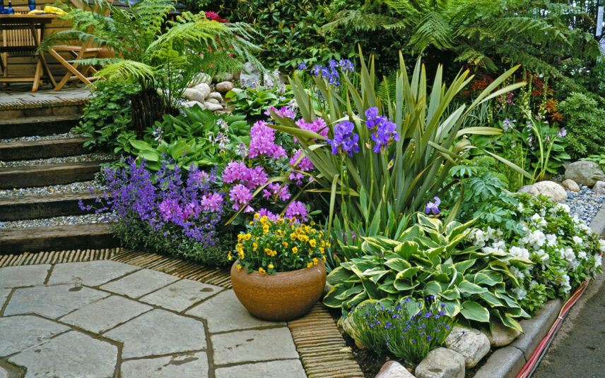 Gartenidee – Gartenaufgang zur Terrasse mit bepflanzten Beet neben der Treppe – Pflanzgefäß mit gelben Sommerblumen – rosa Rhododendron  Lavendel & Gartenorchideen