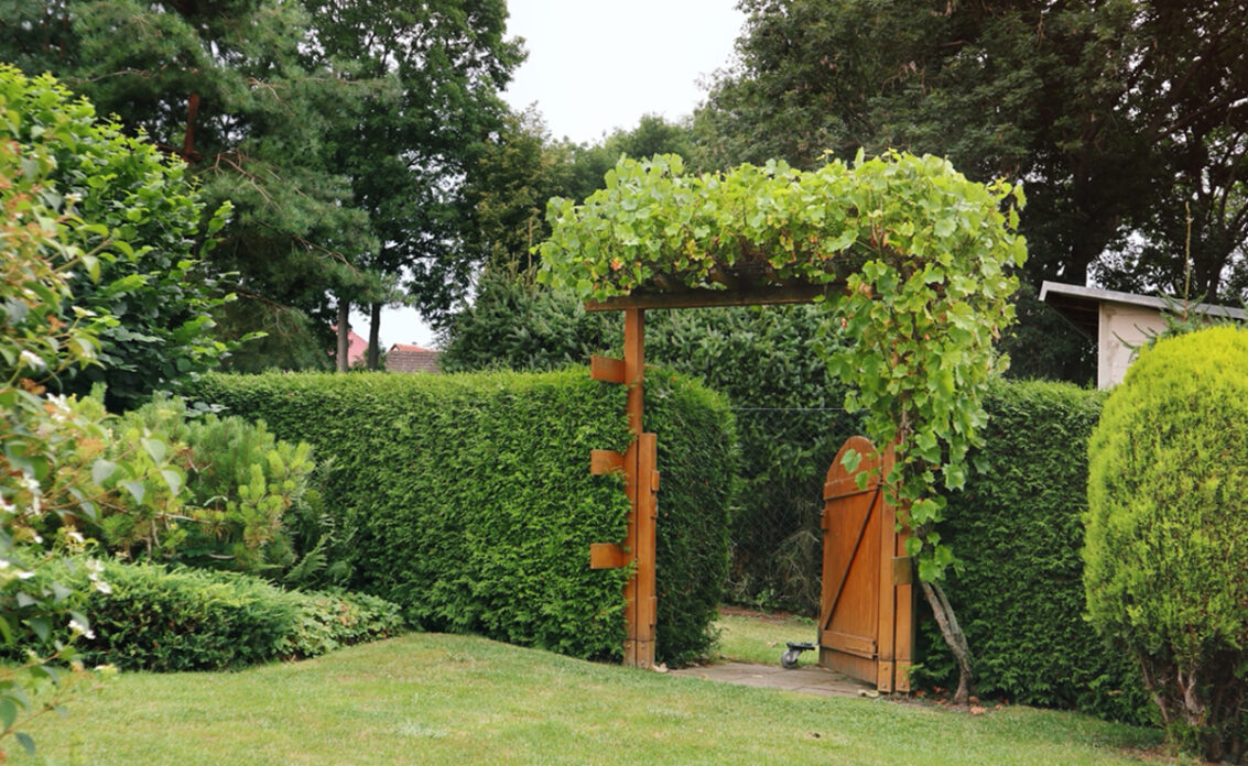Beispiel für den Garteneingang mit Gartentor & bepflanzten Torbogen am Hang – Gartenide...