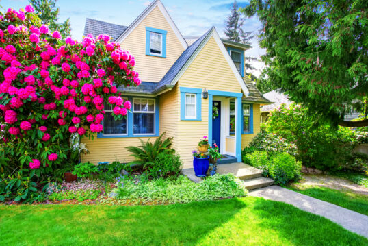 Vorgarten Idee – Gelbes Wohnhaus mit blauen Akzenten & Beleuchtung – Blaues Pflanzgefäß am Hauseingang – Beet mit Rhododendron  Bodendecker & Farnen